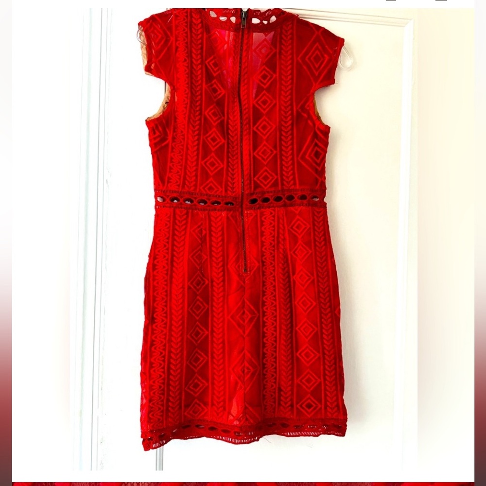 Blossom Lace Dress